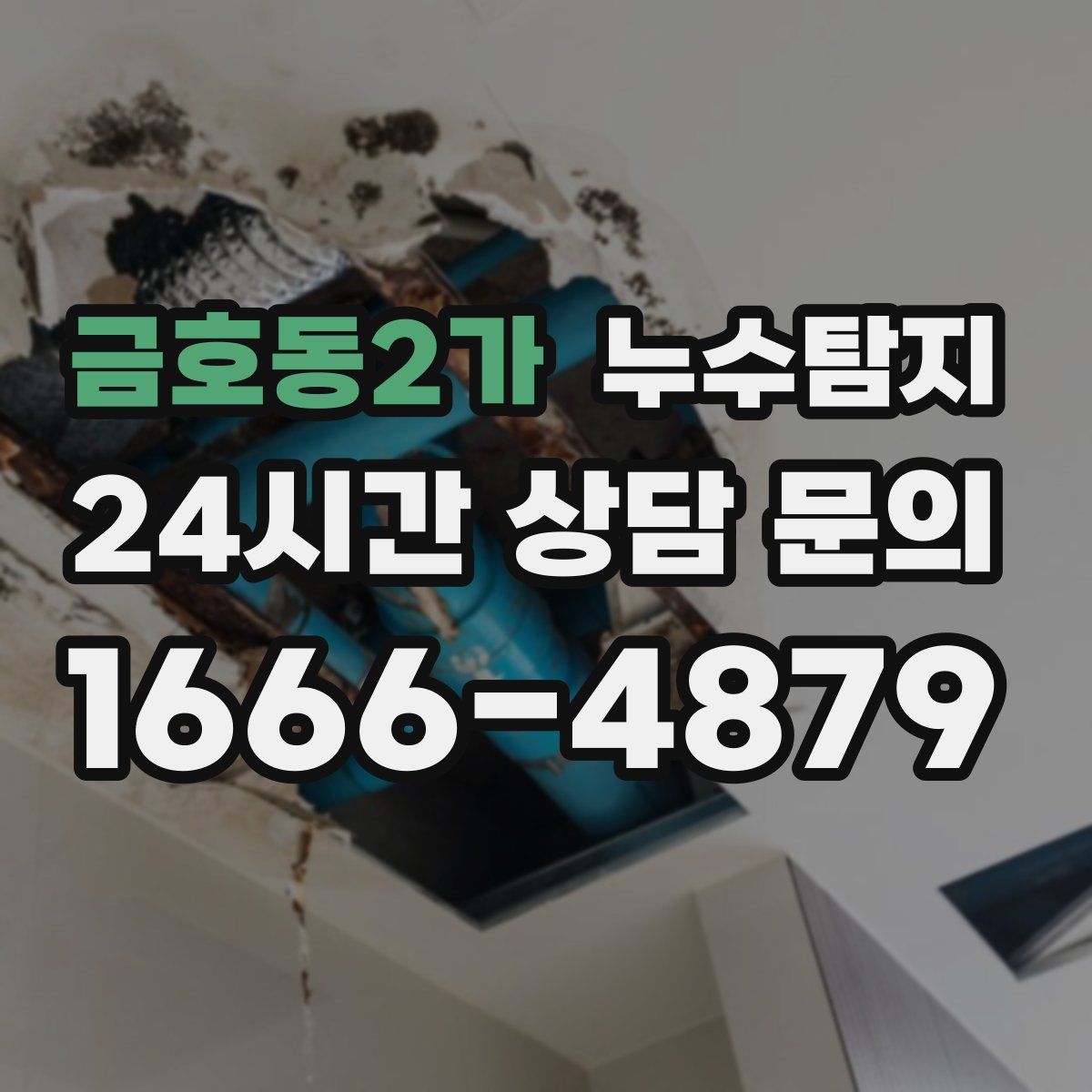 누수탐지