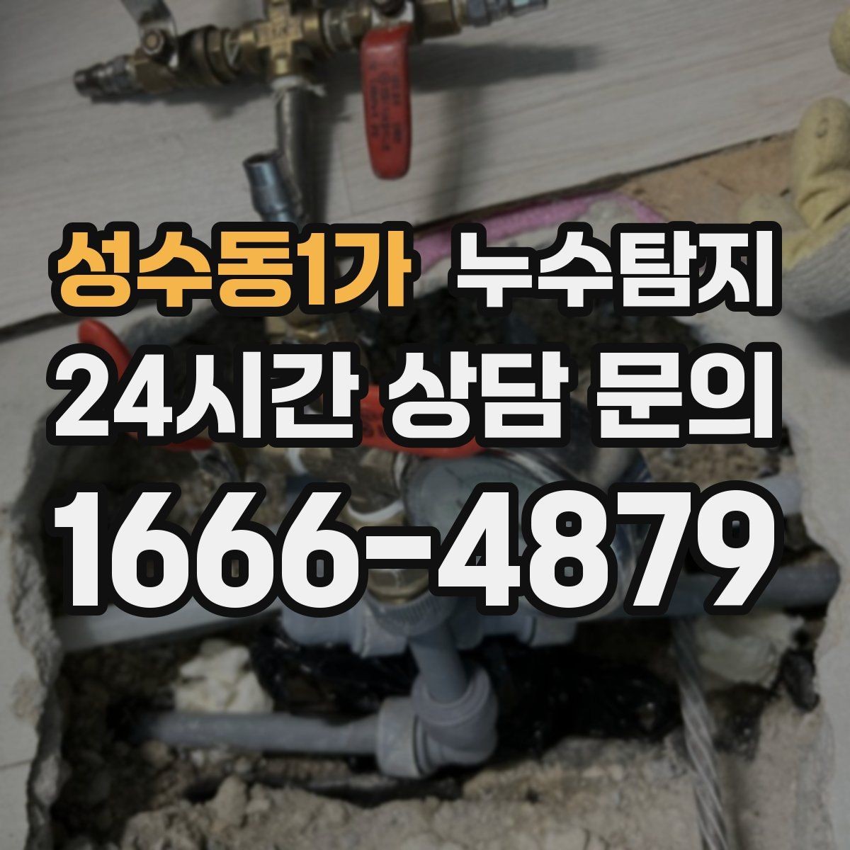 성수동1가 누수탐지 아파트 빌라 전문 진단