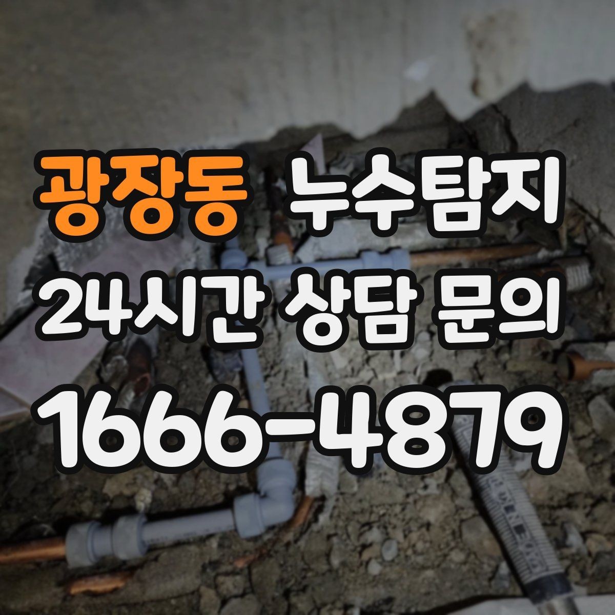 광장동 누수탐지 창고 곰팡이 제거와 재발 방지