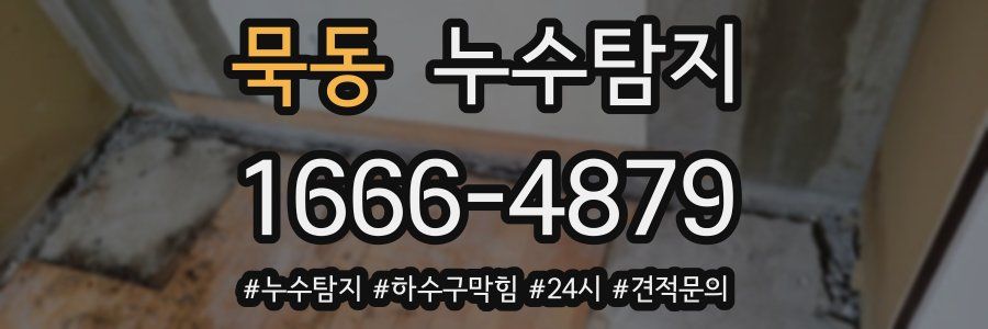 누수닥터 누수탐지