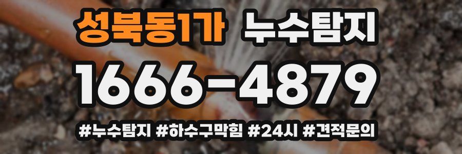 누수닥터 누수탐지