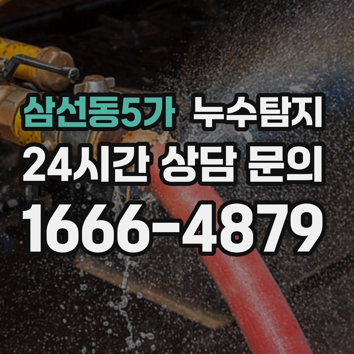 삼선동5가 누수탐지 반려가정 배려 점검 후기
