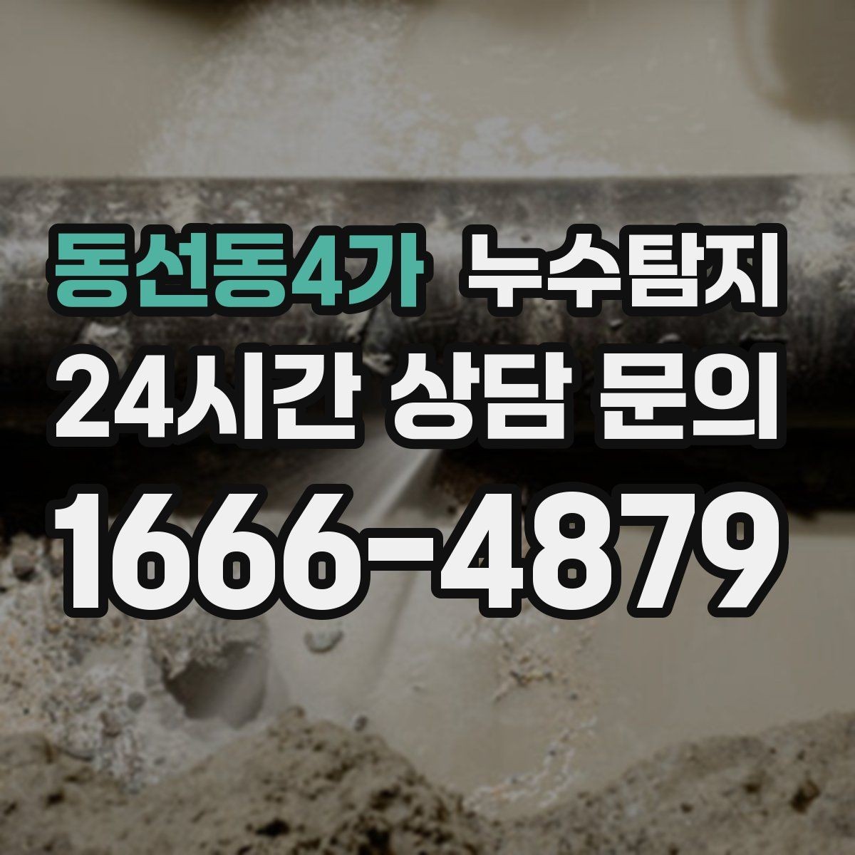 동선동4가 누수탐지 셀프 점검 후 전문가 호출 타이밍