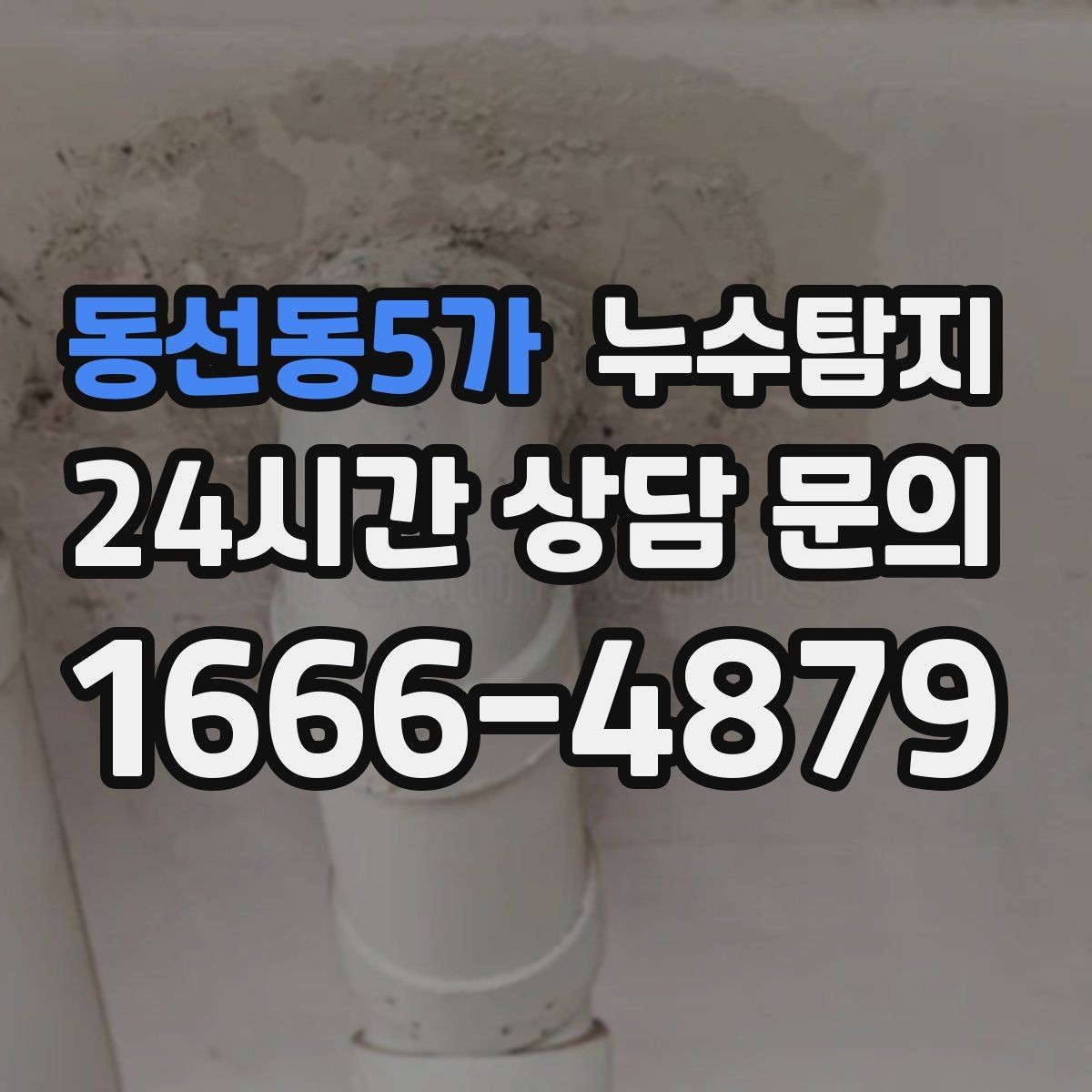 동선동5가 누수탐지 도어 하부 빗물 유입 차단은