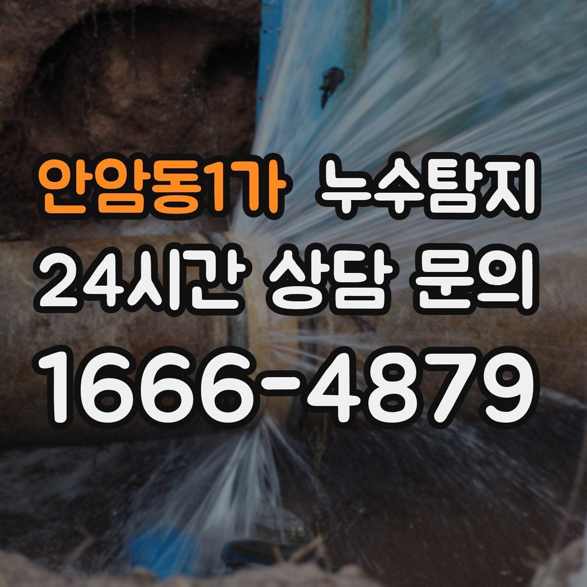 안암동1가 누수탐지 세탁기 배수관 누수 해결