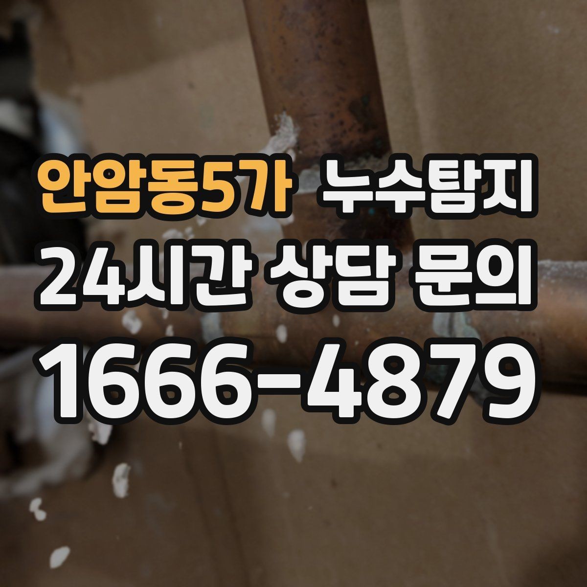 안암동5가 누수탐지 전문가와 함께한 현장 진단 이야기