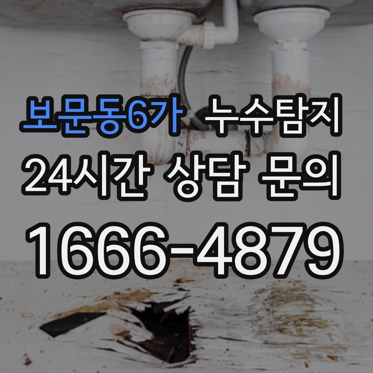 보문동6가 누수탐지 우리집 천장 얼룩 원인 추적기