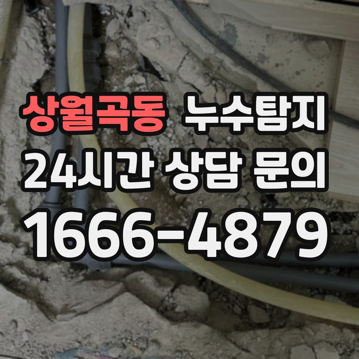 누수탐지