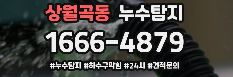 누수닥터 누수탐지