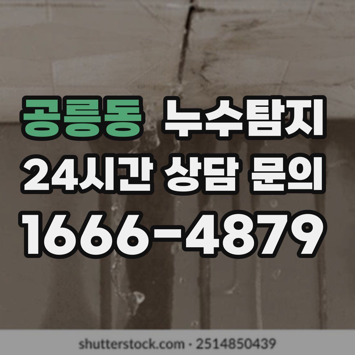 누수탐지