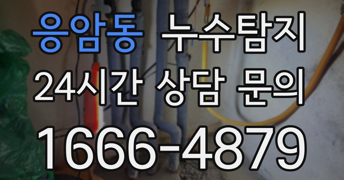 하수구막힘