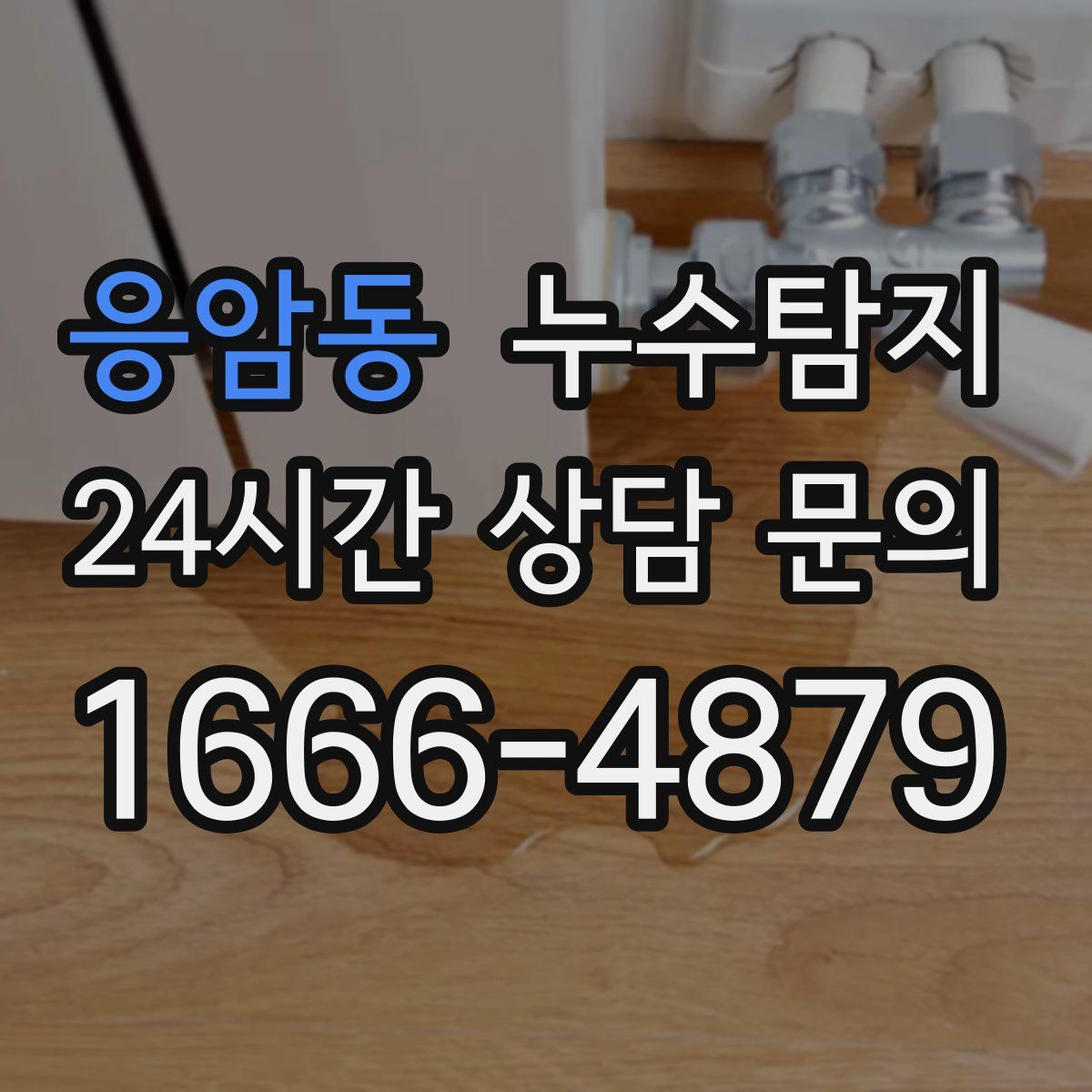 누수탐지