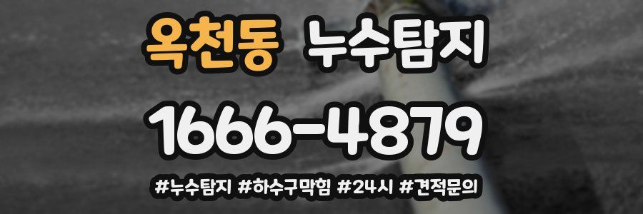 누수닥터 누수탐지