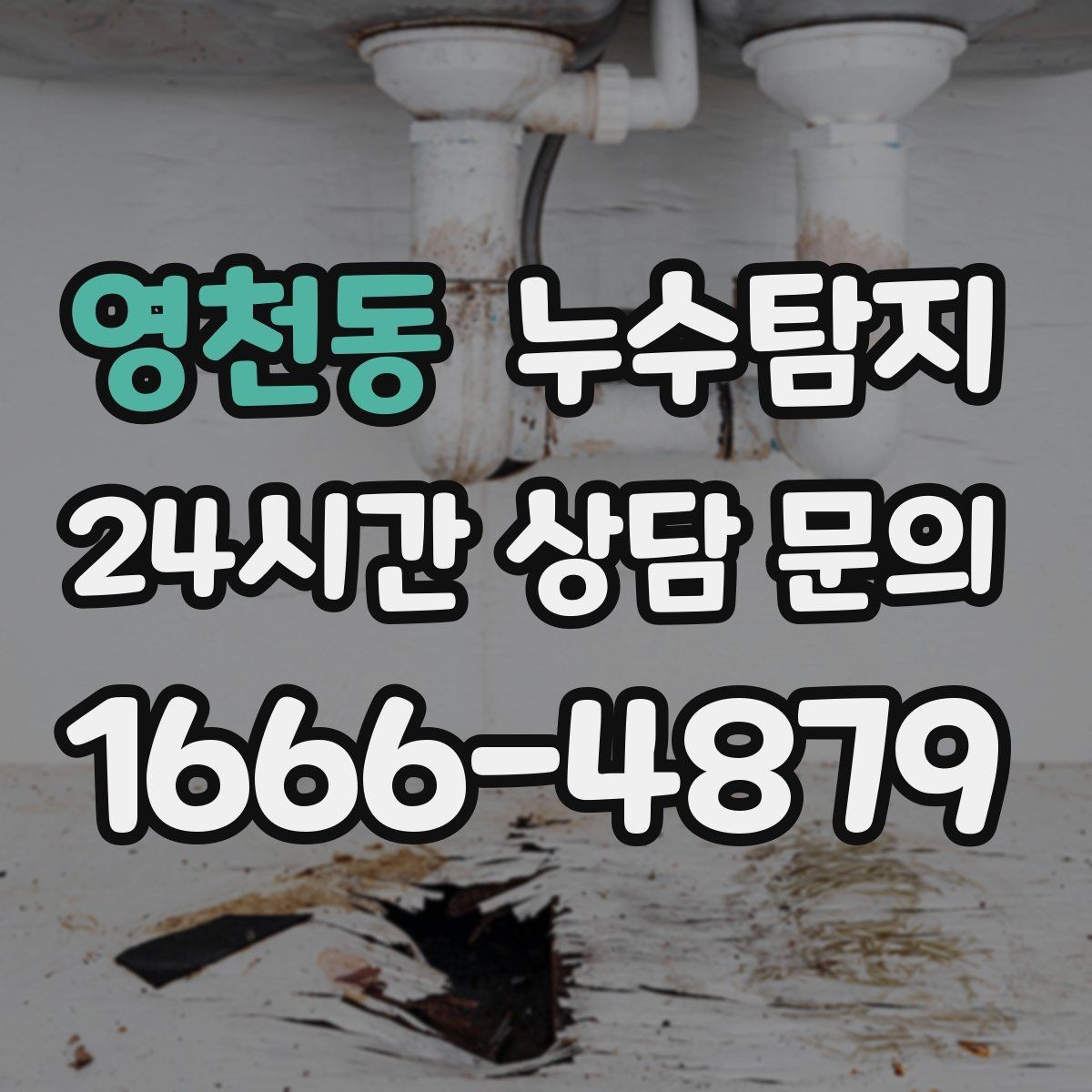 영천동 누수탐지 이사 전 하자 사전 점검
