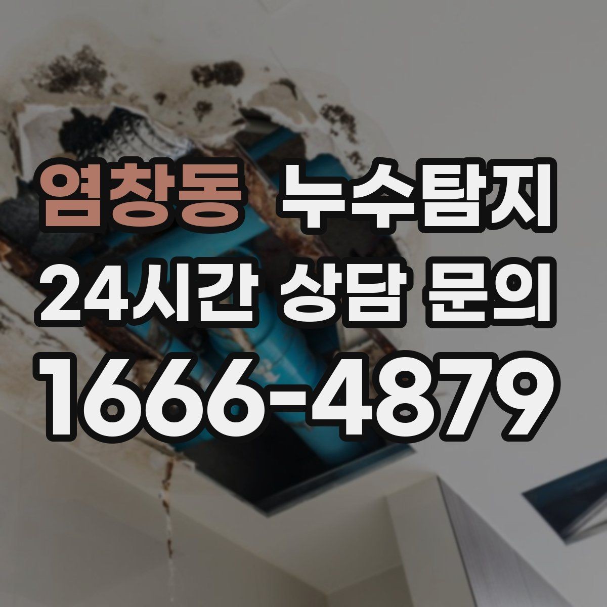 염창동 누수탐지 벽 속의 누수까지