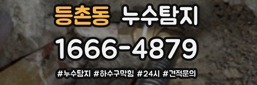 누수닥터 누수탐지