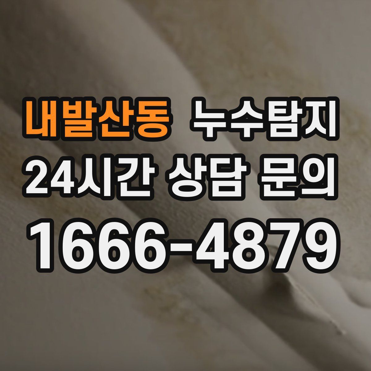 누수탐지