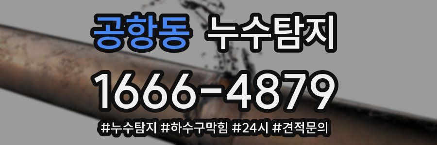 누수닥터 누수탐지