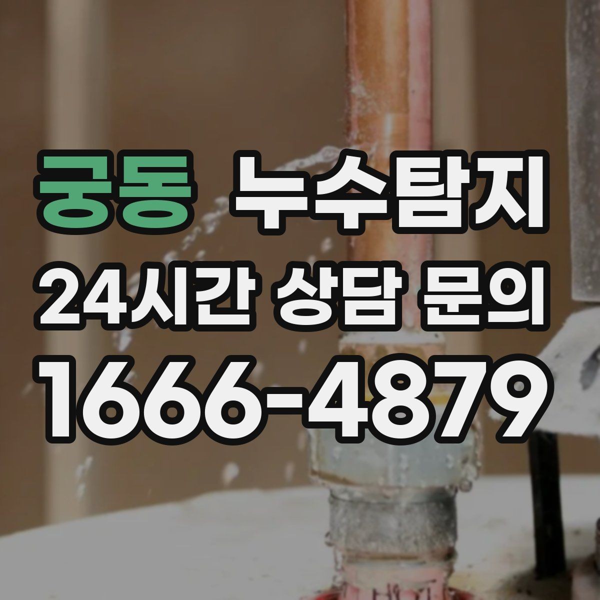 궁동 누수탐지 곰팡이 악취 원인 진단