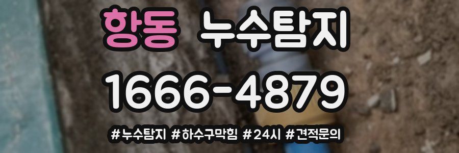 누수닥터 누수탐지