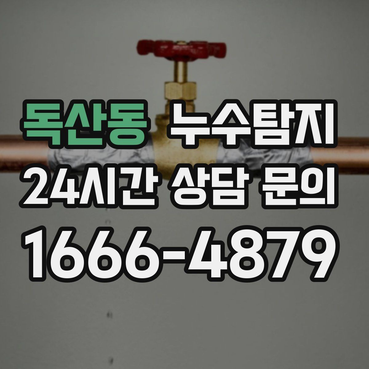 독산동 누수탐지 바닥 습기와 장판 들뜸 해결기