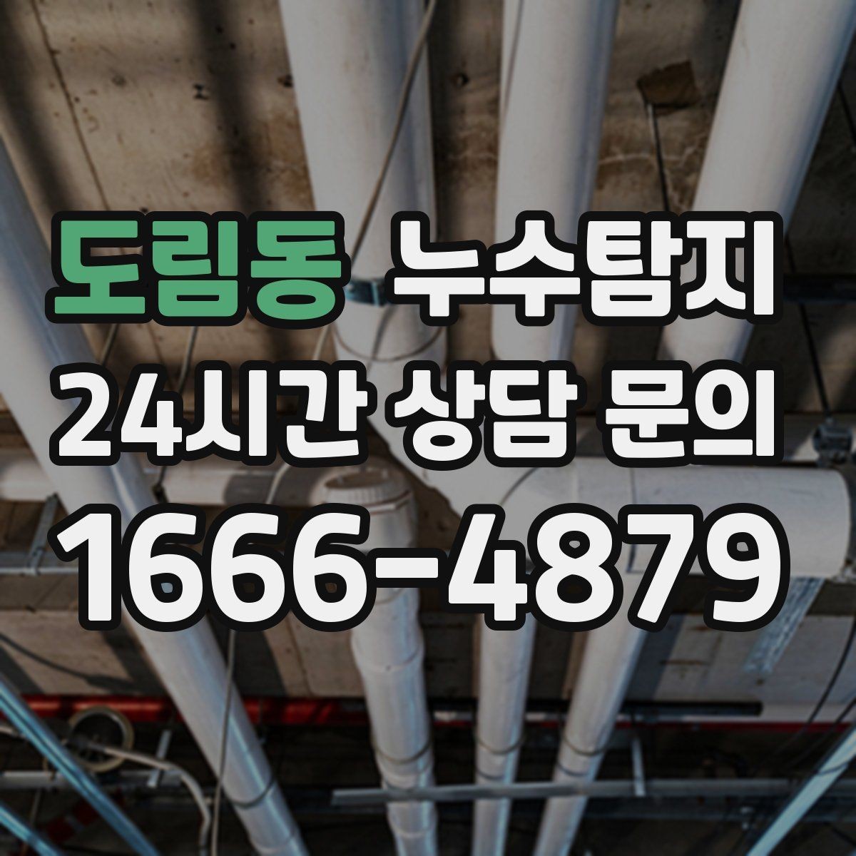 도림동 누수탐지 욕실 곰팡이 사라진 해결 과정