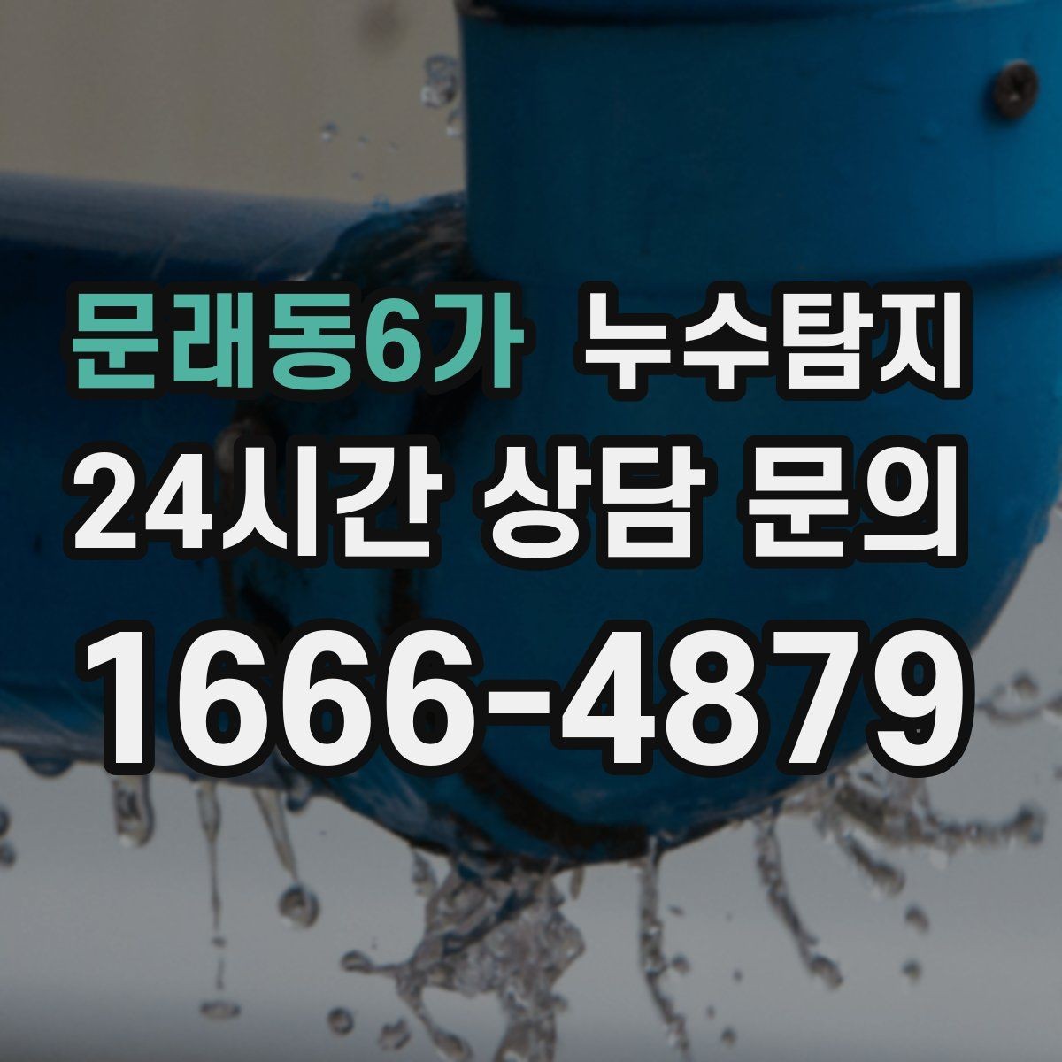 문래동6가 누수탐지 하부장 곰팡이 정리하고 재발 방지
