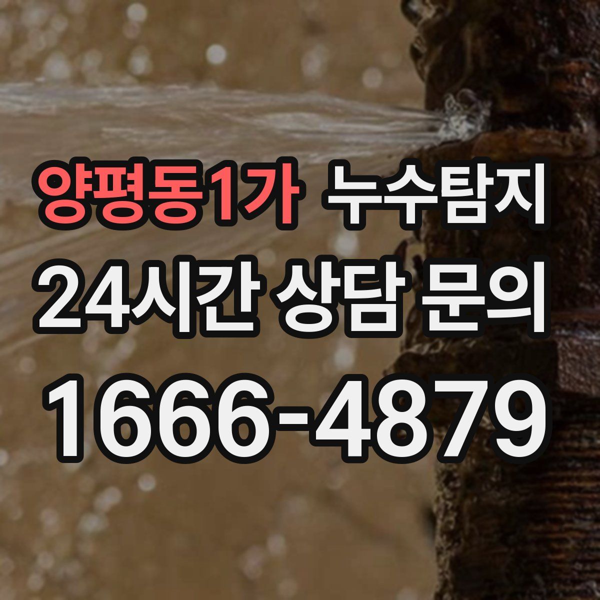 누수탐지