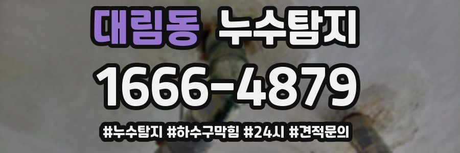 누수닥터 누수탐지