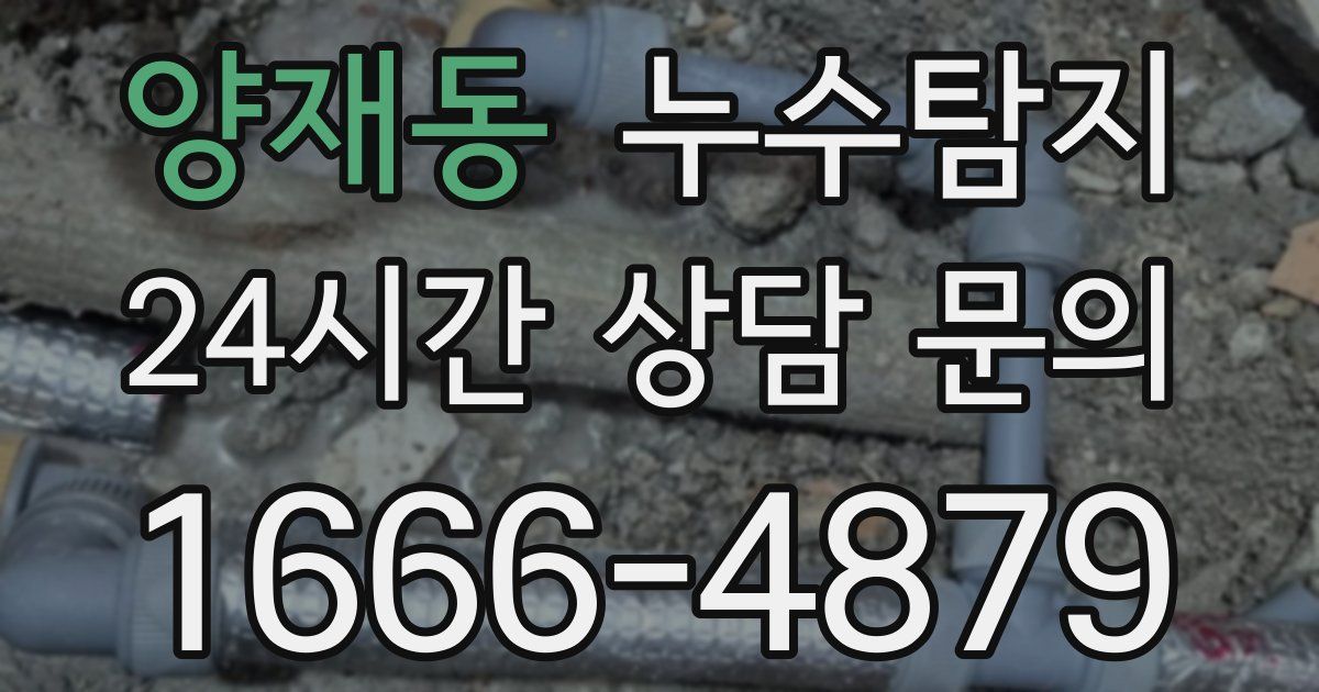 하수구막힘