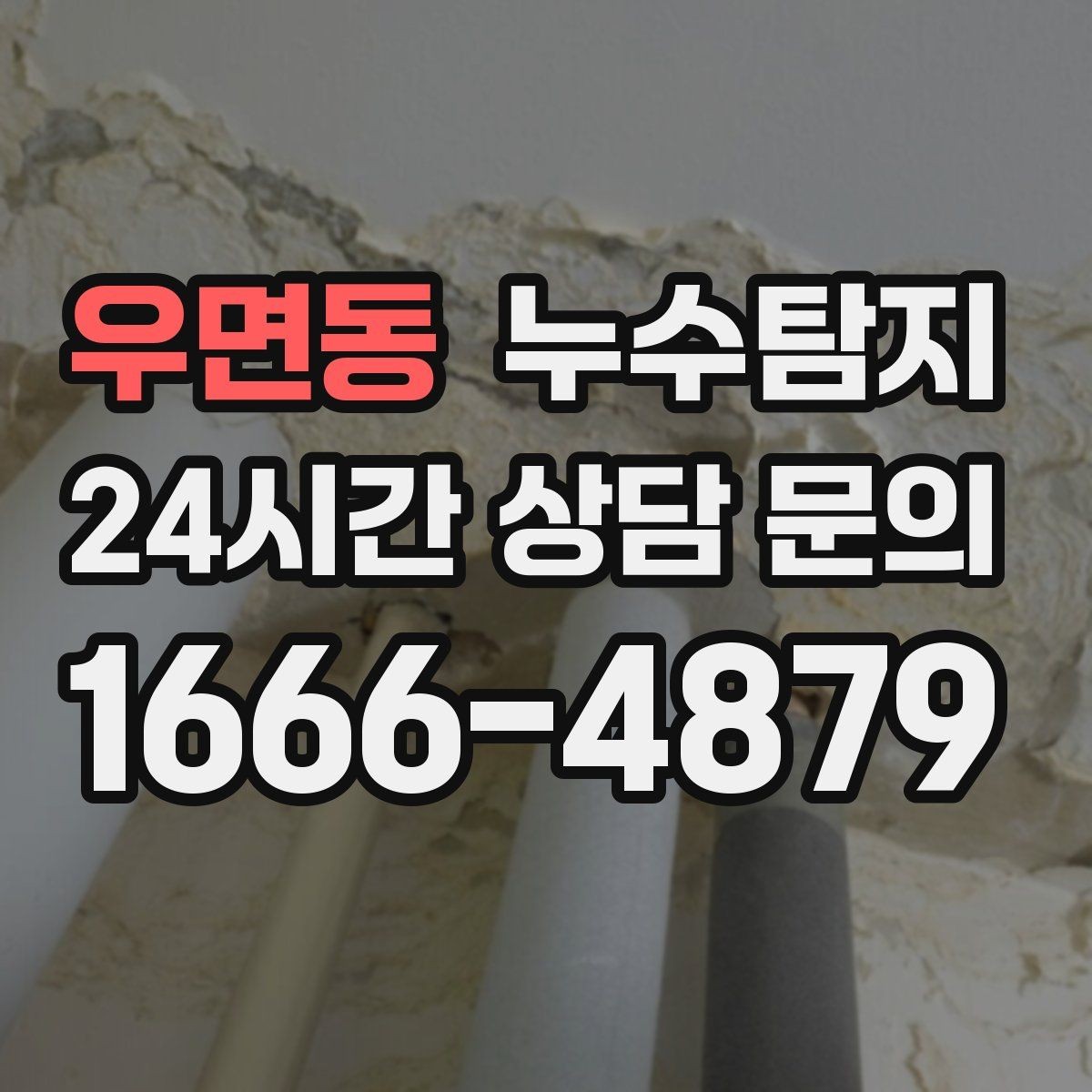 우면동 누수탐지 최소 파괴 정확 위치 탐지