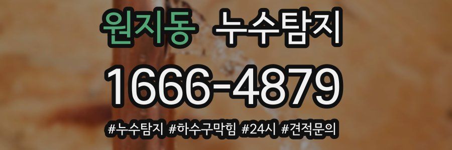 누수닥터 누수탐지