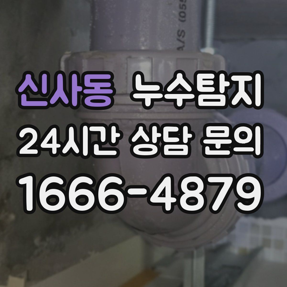 신사동 누수탐지 태풍 뒤 빠른 점검으로 안심
