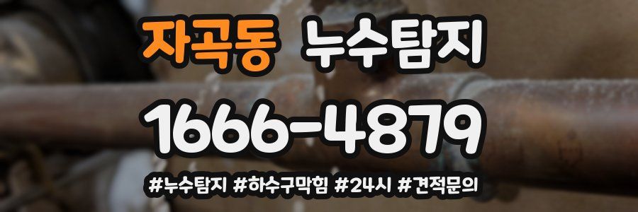 누수닥터 누수탐지