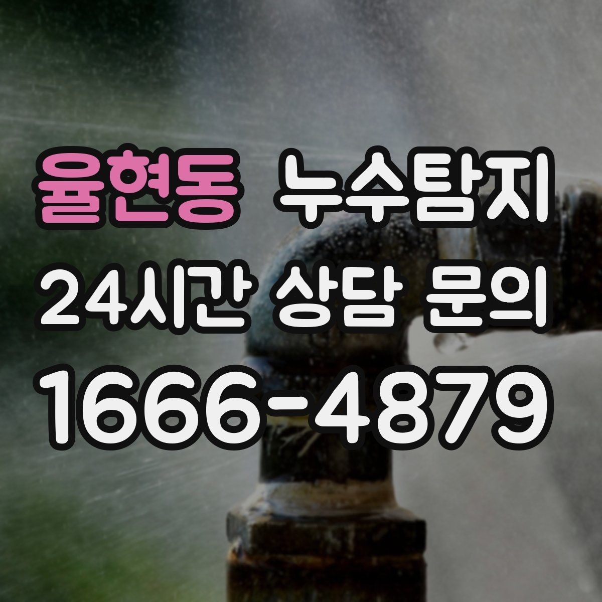 율현동 누수탐지 욕실 곰팡이 원인과 해결 과정