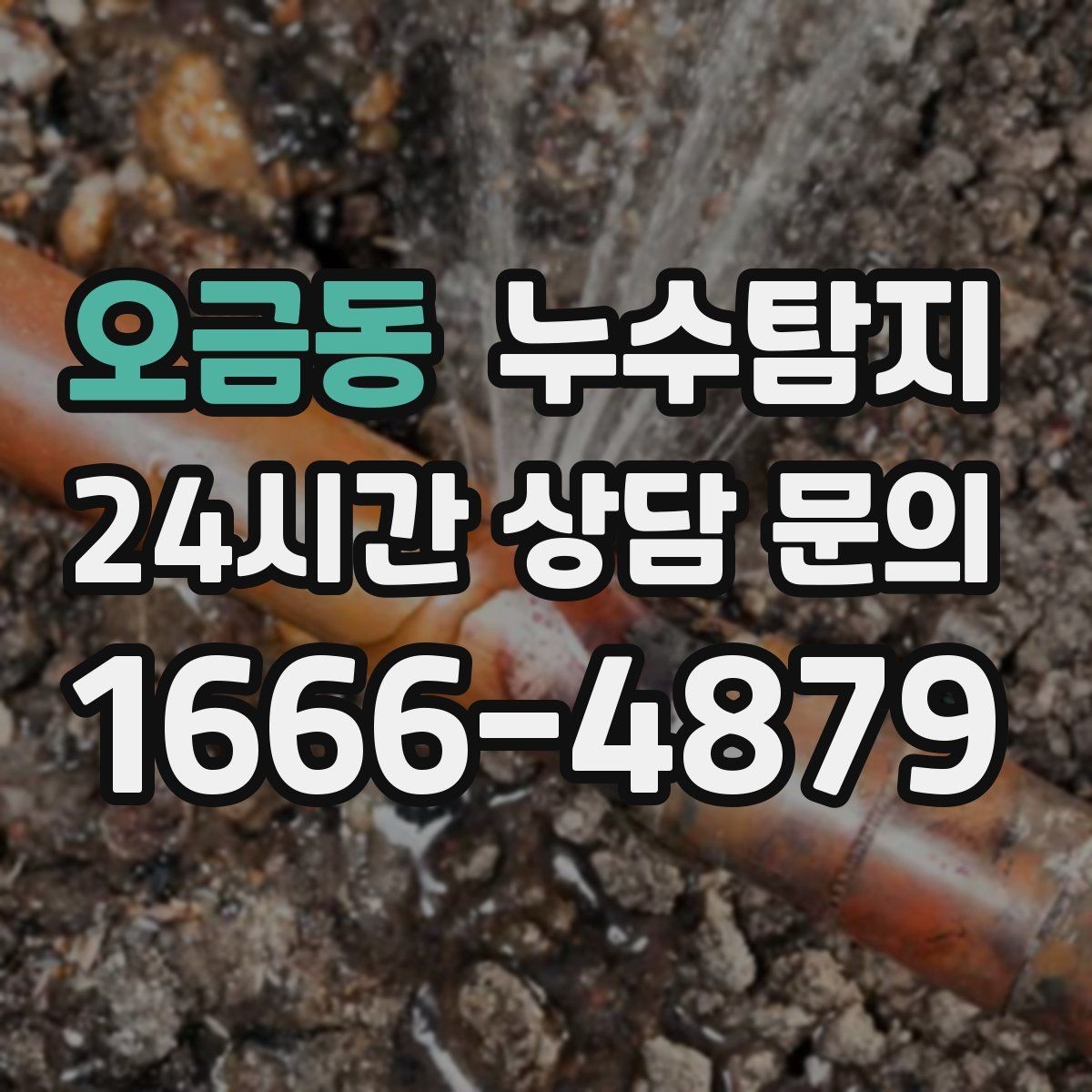 오금동 누수탐지 정밀 진단 후 최적 복구 제안