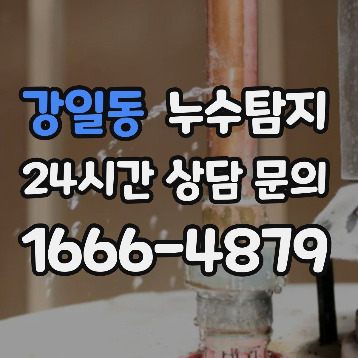 강일동 누수탐지 사진과 영상 데이터로 믿는 진단