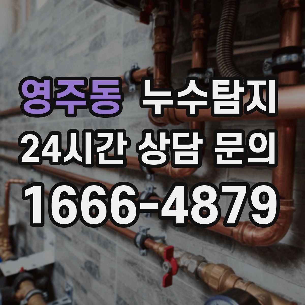 영주동 누수탐지 새벽 누수 소리의 정체를 찾다
