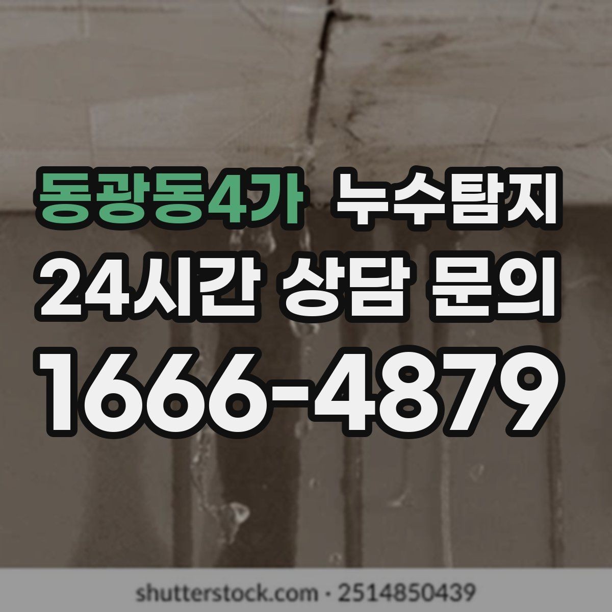 동광동4가 누수탐지 진단부터 해결 복구까지 한번에 확실하게