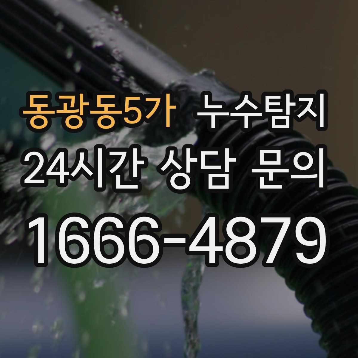 동광동5가 누수탐지 우리 가족을 지킨 빠른 판단