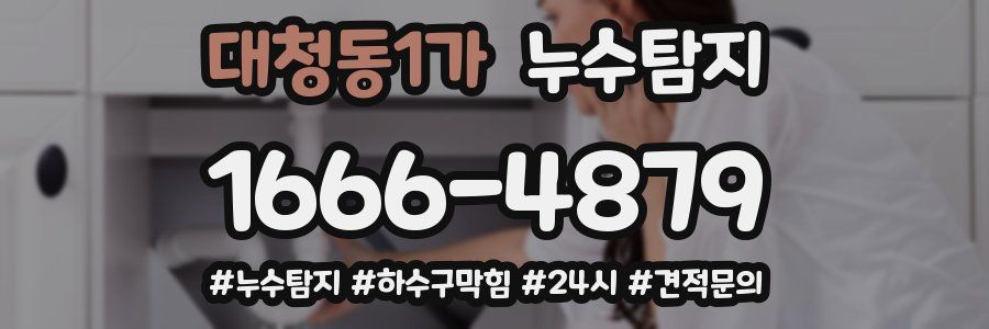 누수닥터 누수탐지