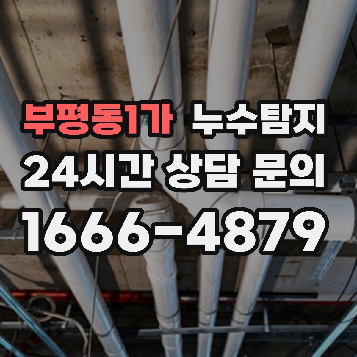 부평동1가 누수탐지 해결 빠르면 빠를수록 좋습니다