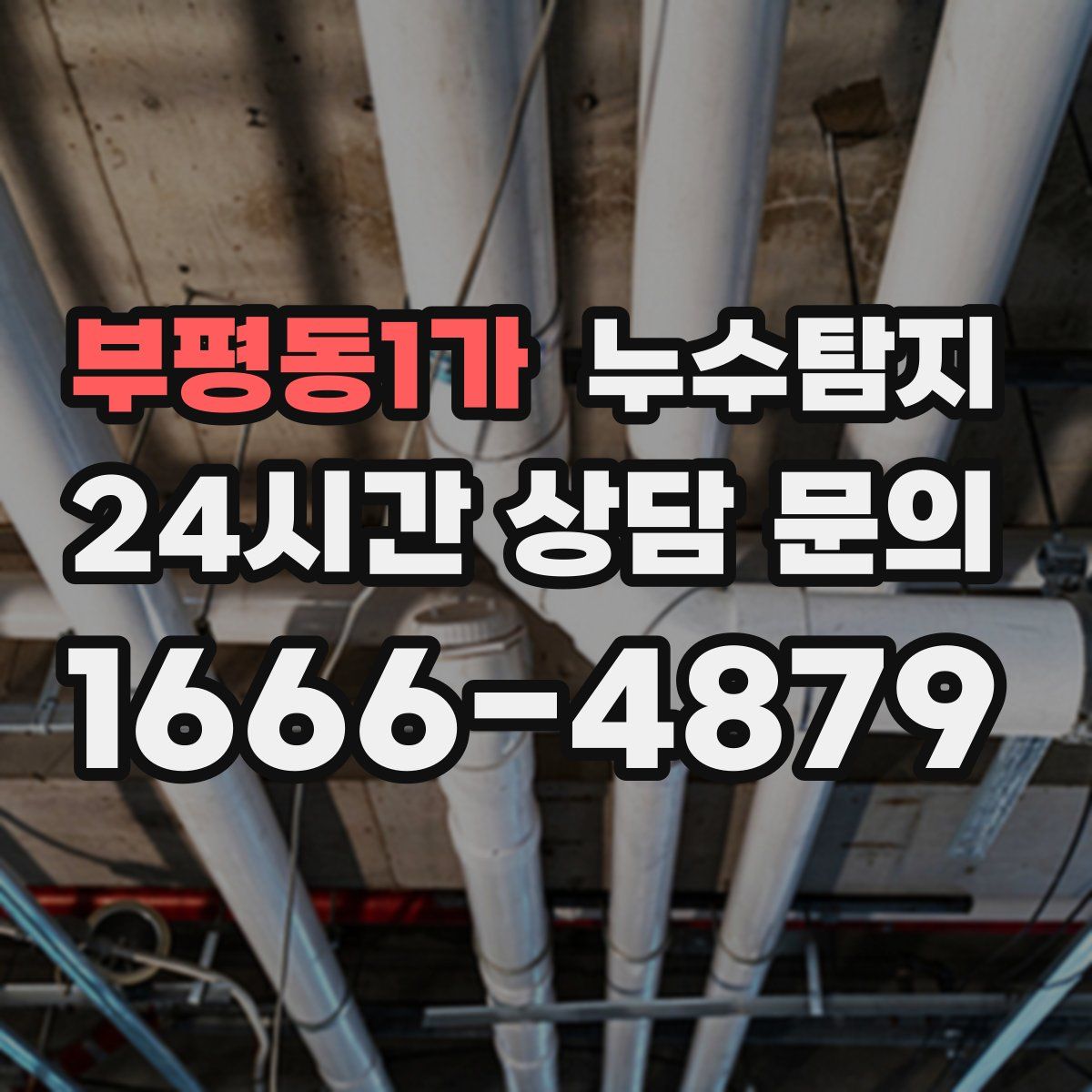 누수탐지