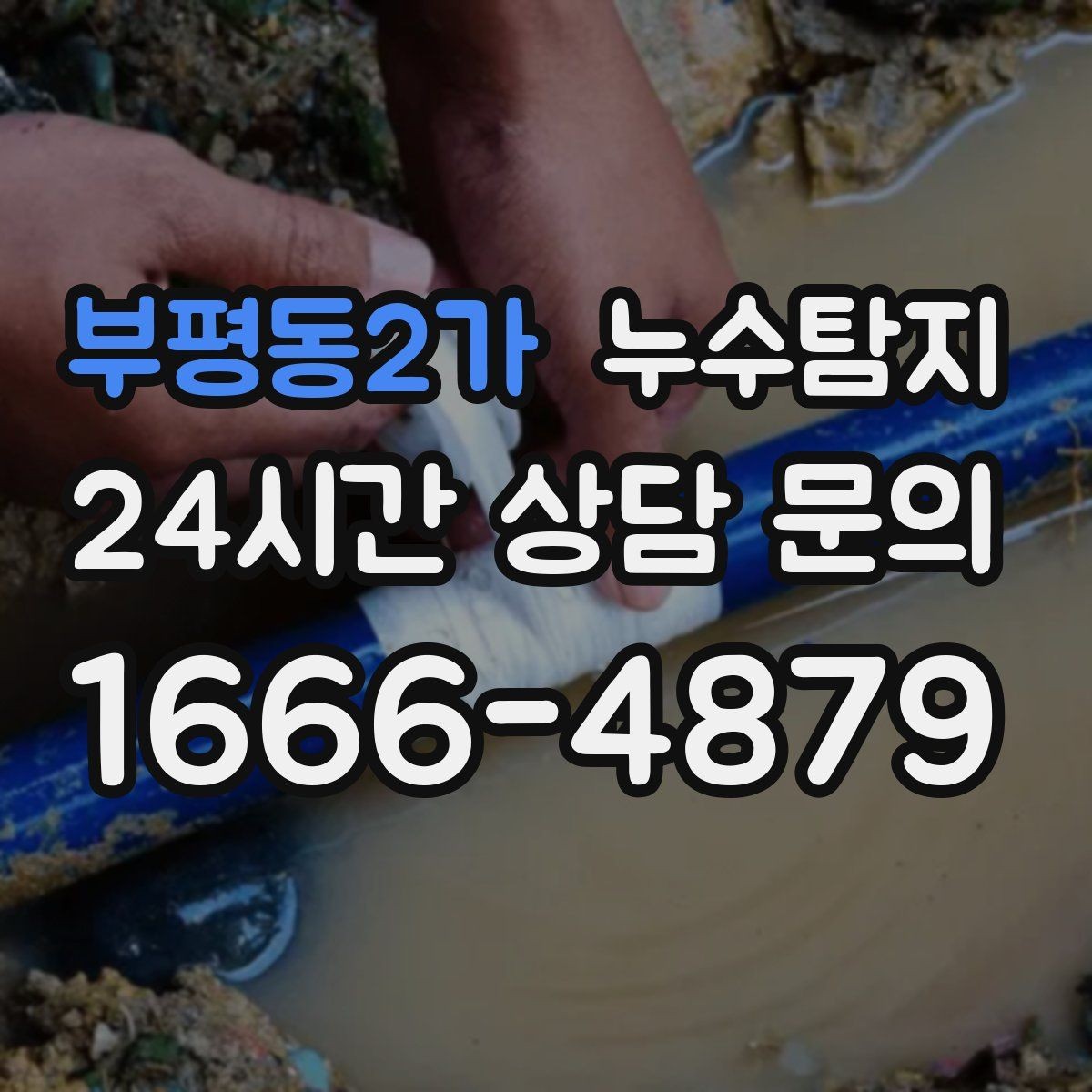 부평동2가 누수탐지 세탁실 배수 이상 확인 일지