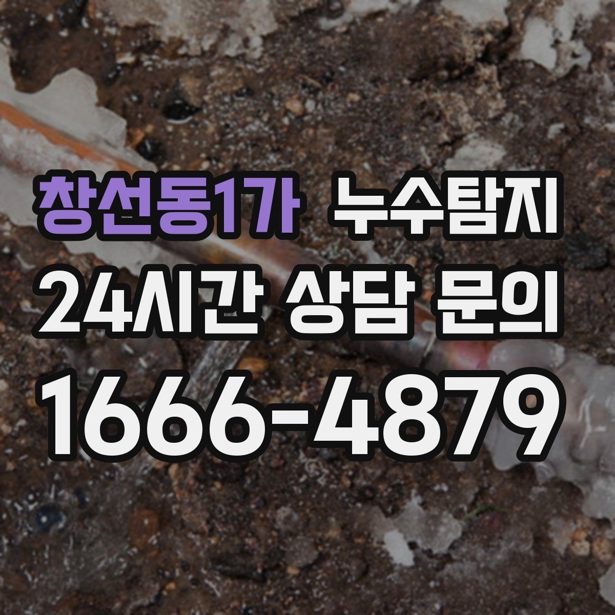 창선동1가 누수탐지 창고 곰팡이 제거와 재발 방지