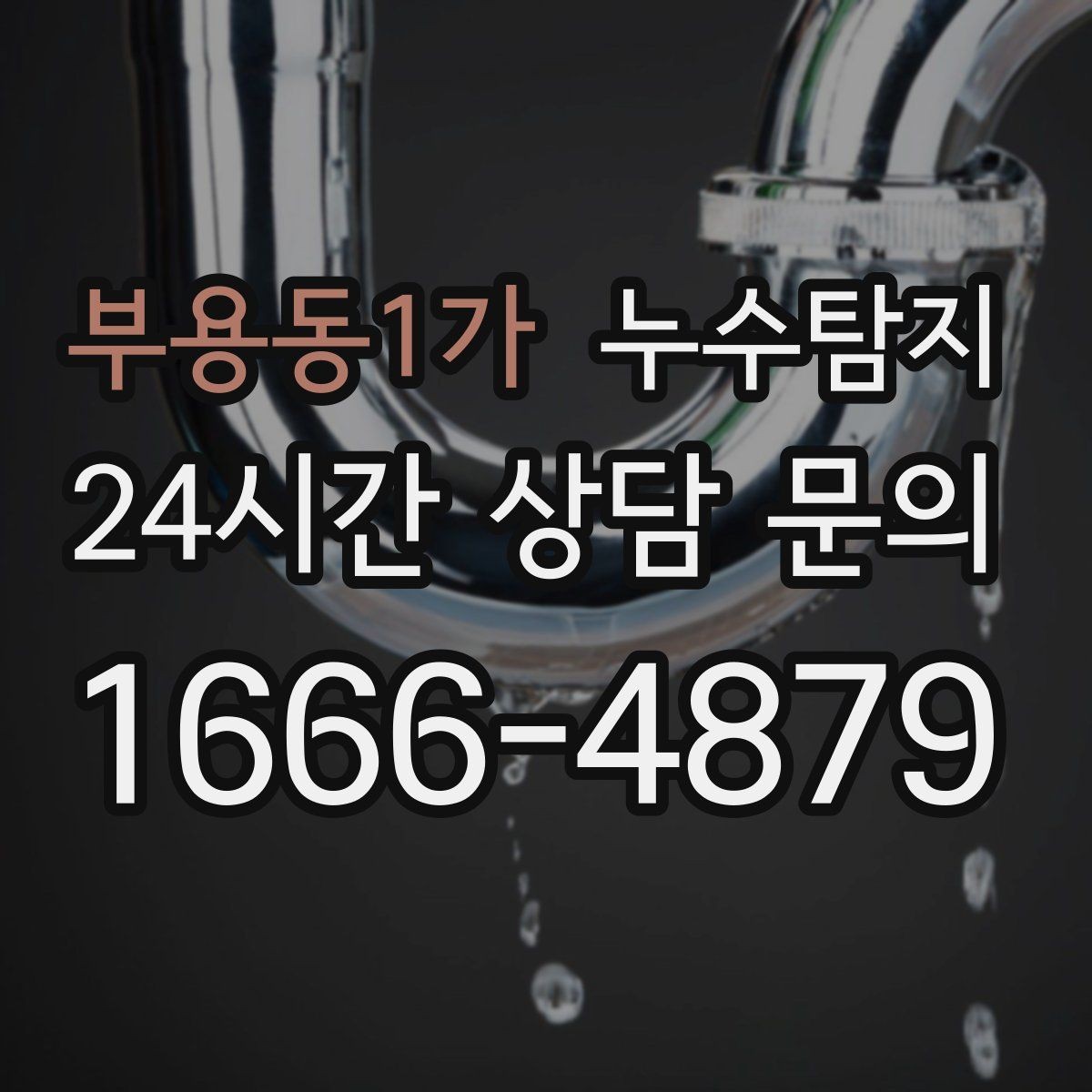부용동1가 누수탐지 상가 매장 영업 중 점검 노하우