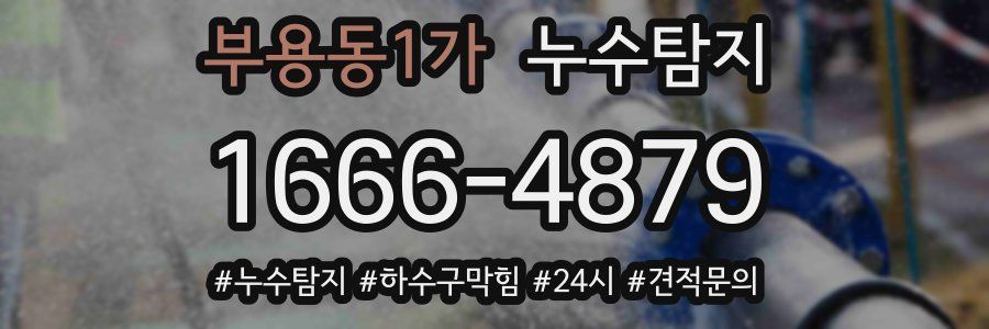 누수닥터 누수탐지