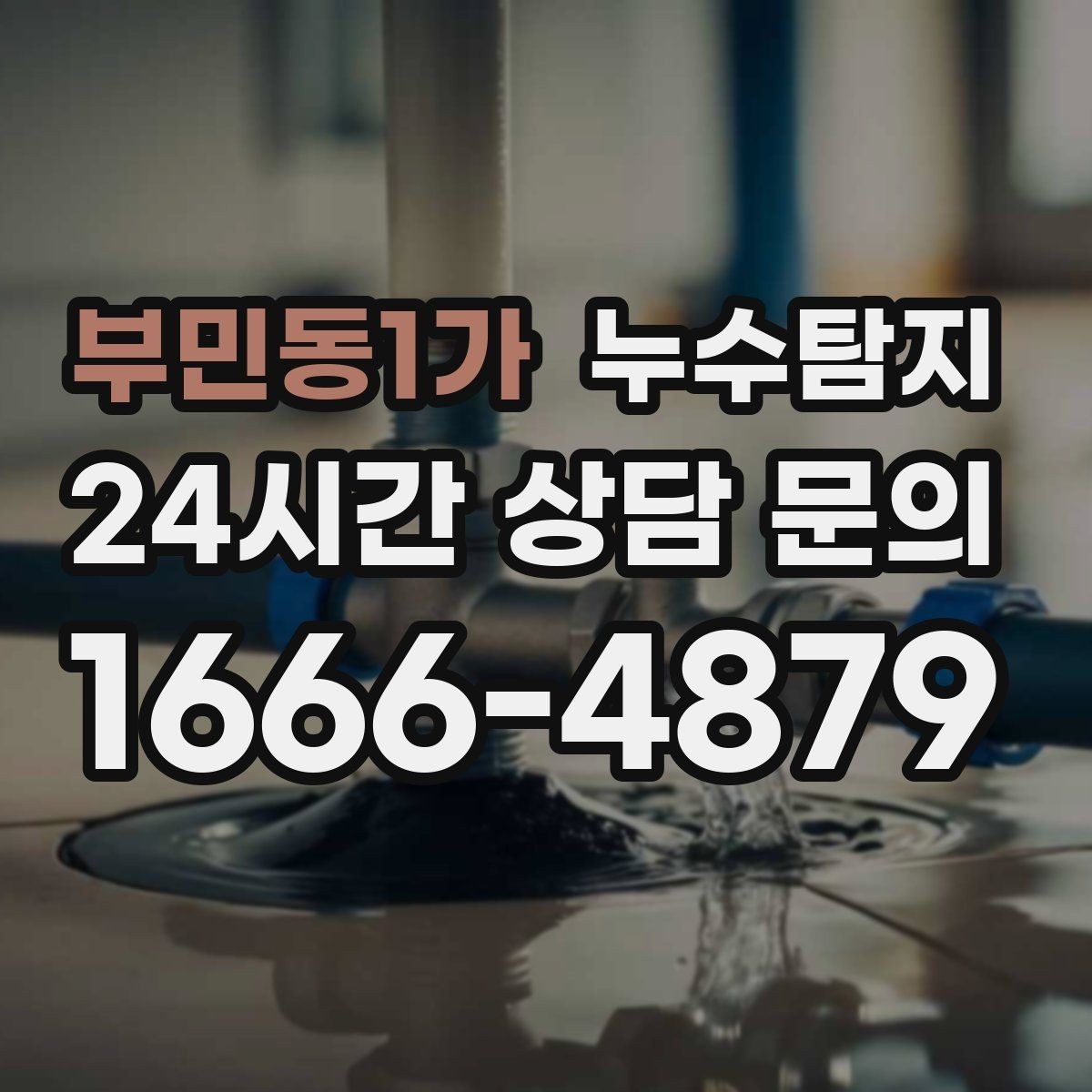 부민동1가 누수탐지 세탁실 배수 이상 확인 일지