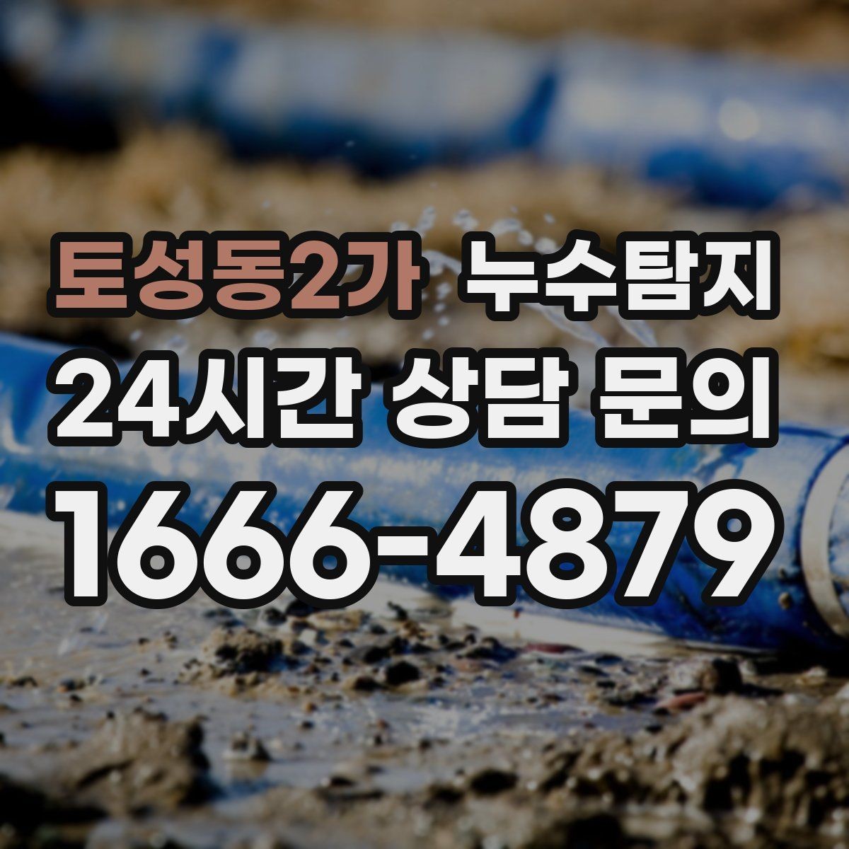 토성동2가 누수탐지 전문 진단 서비스