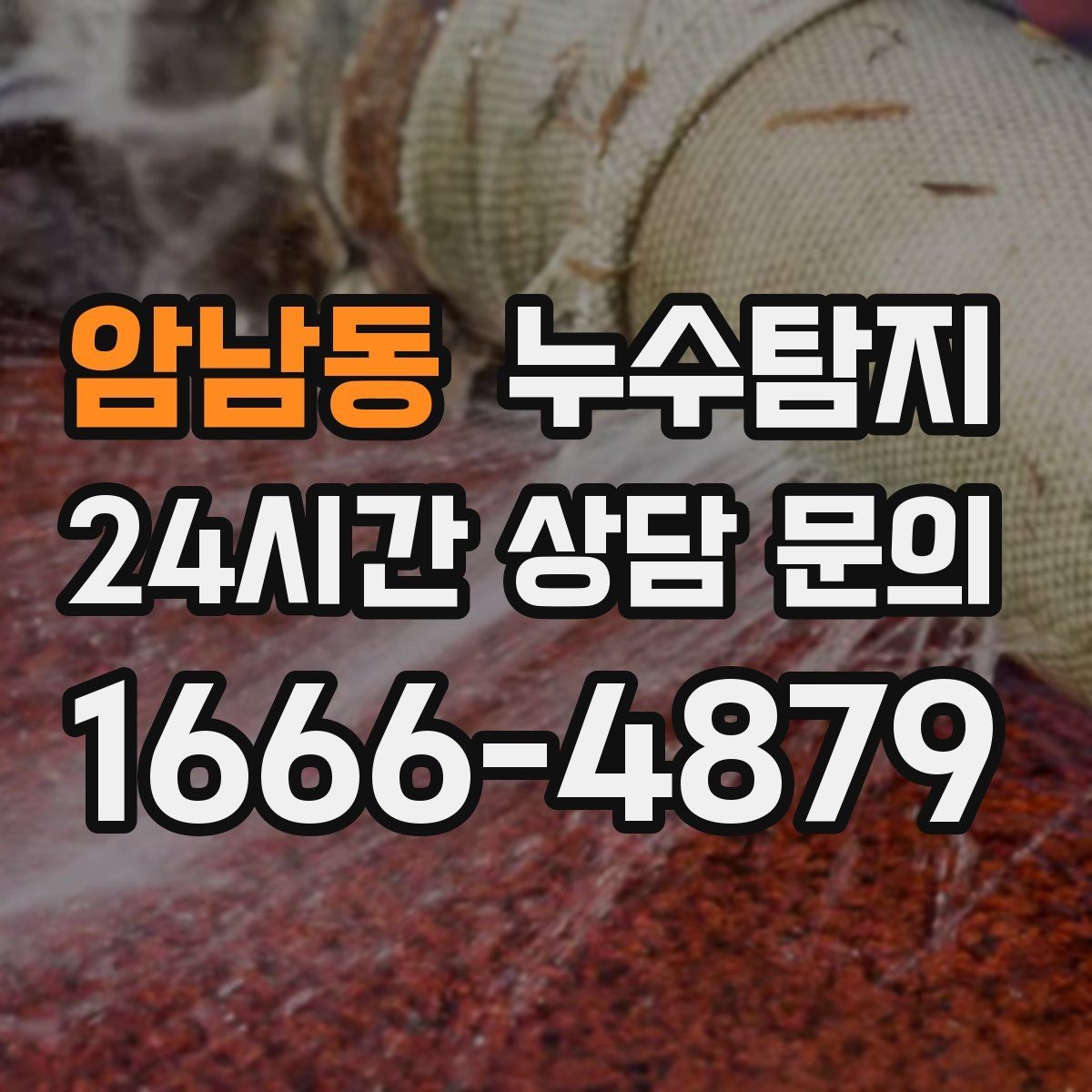 암남동 누수탐지 아이와 반려동물을 위한 안전 점검